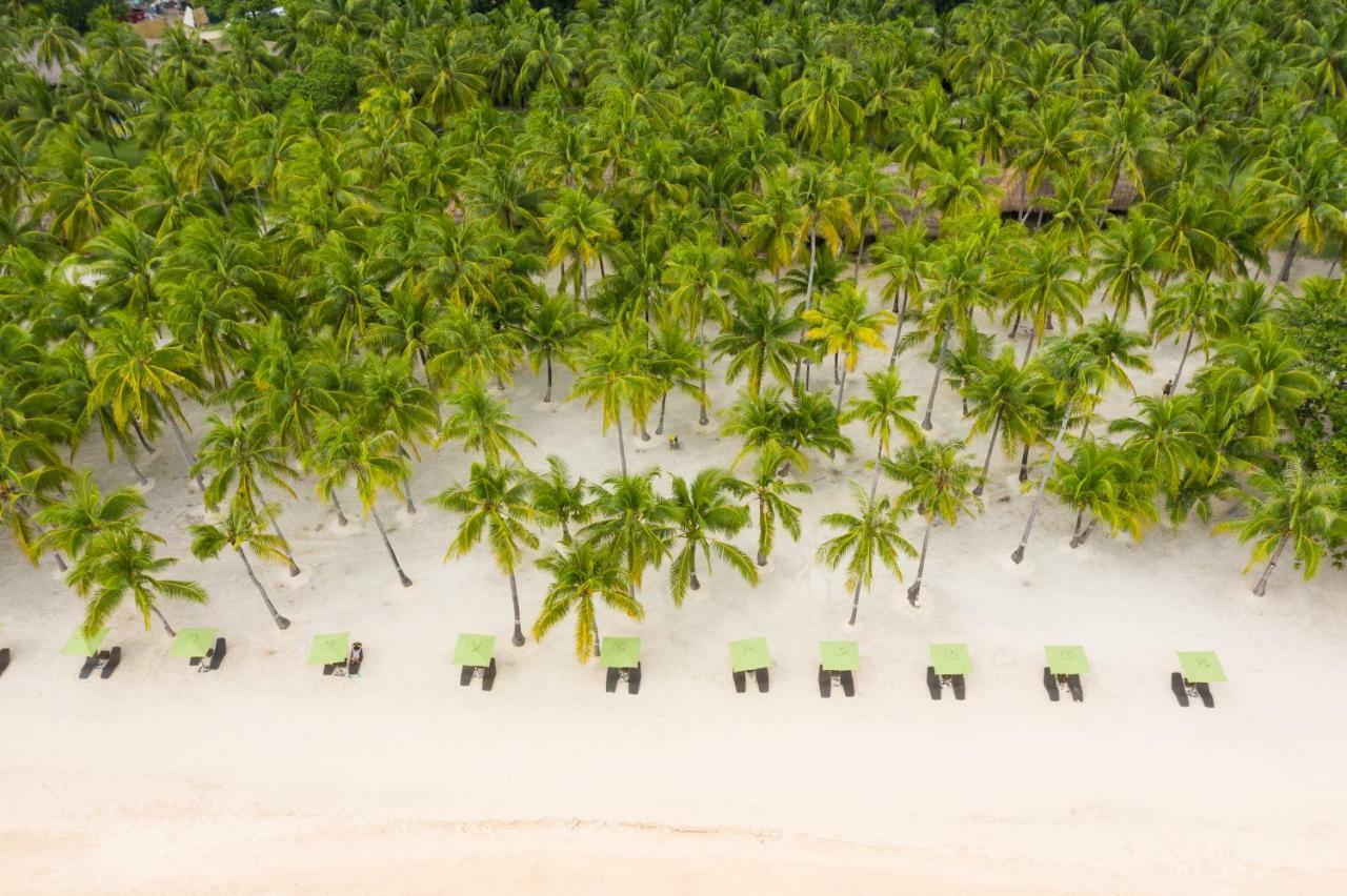เซาท์ ปาล์ม รีสอร์ต Hotel ปางเลา ภายนอก รูปภาพ Palm trees on the beach