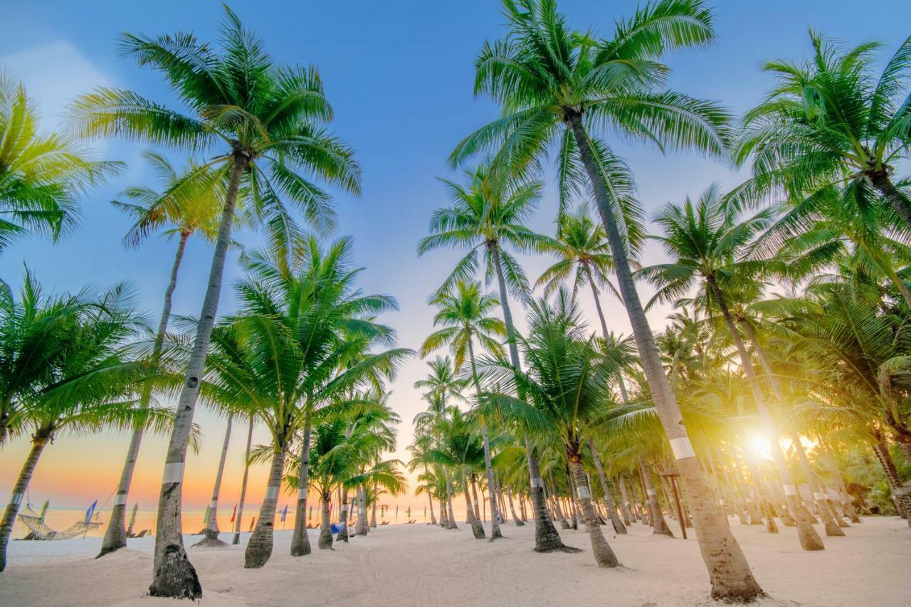 เซาท์ ปาล์ม รีสอร์ต Hotel ปางเลา ภายนอก รูปภาพ Palm trees on a beach